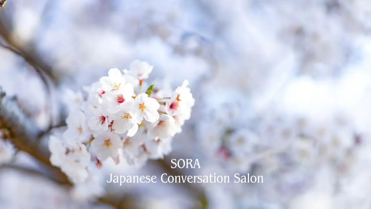 SORA Japanese Conversation Salon – Experience authentic Japanese language immersion and the seasonal beauty of cherry blossoms.